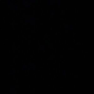 Meet your Posher, Esme